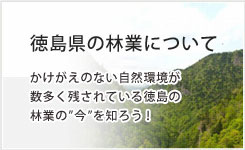 徳島県の林業について
